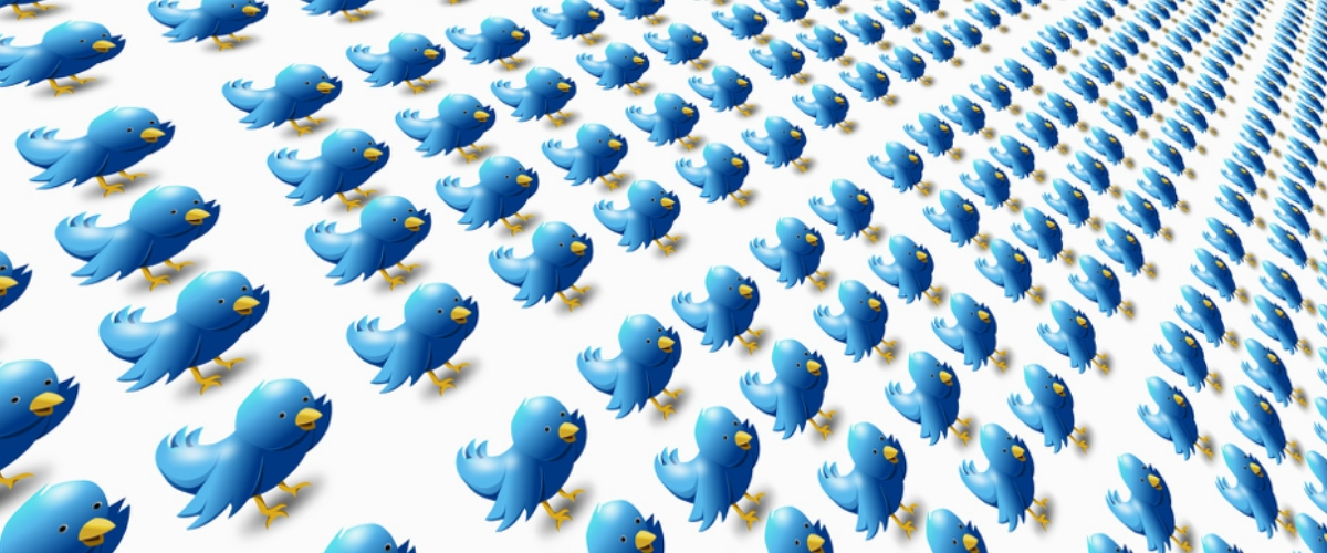 oiseaux bleus réseaux sociaux, social média